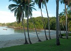 Panama112011-6522 [1600x1200]