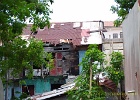 ALF 5546