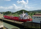 ALF 5570