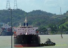 ALF 5573