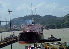 ALF 5581