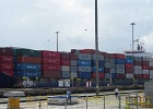 ALF 5613