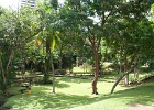 Panama112011-6633 [1600x1200]