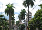 panama2008 (35)